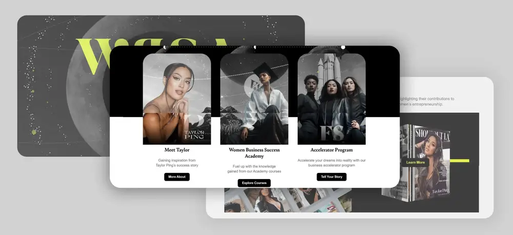 Taylor Ping case study screenshot