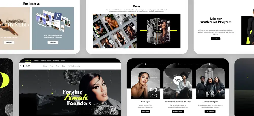 Taylor Ping case study screenshot